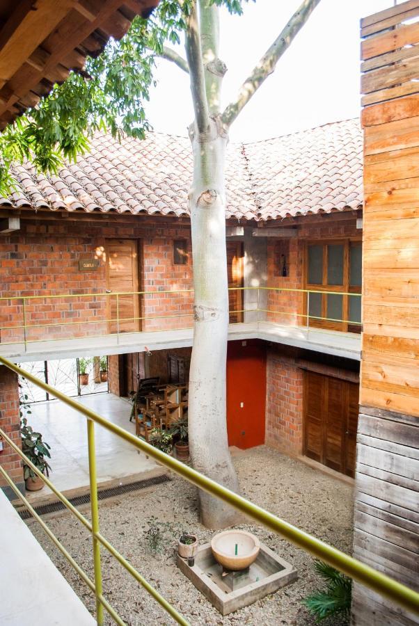 Hotel Pochote Mazunte Kültér fotó